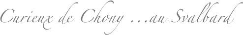 Curieux de Chony ...au Svalbard