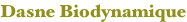 shapeimage_6_link_1